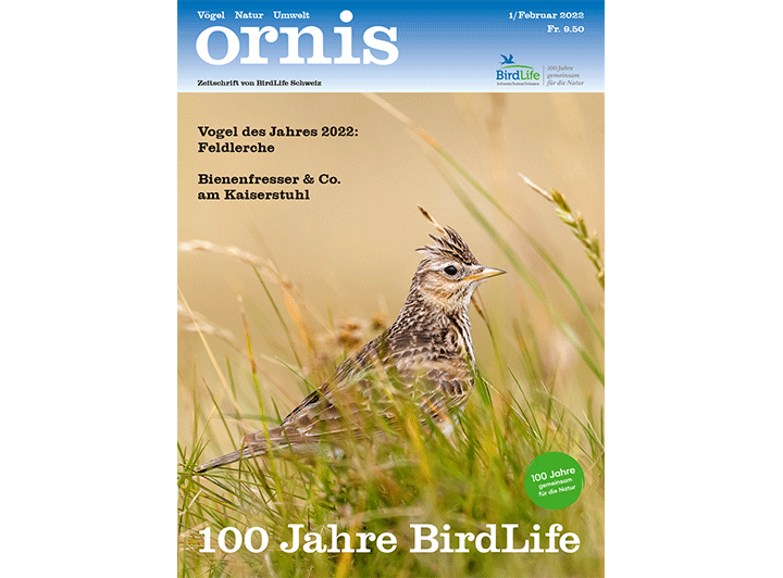 Cover Ornis
